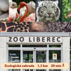 Zoo